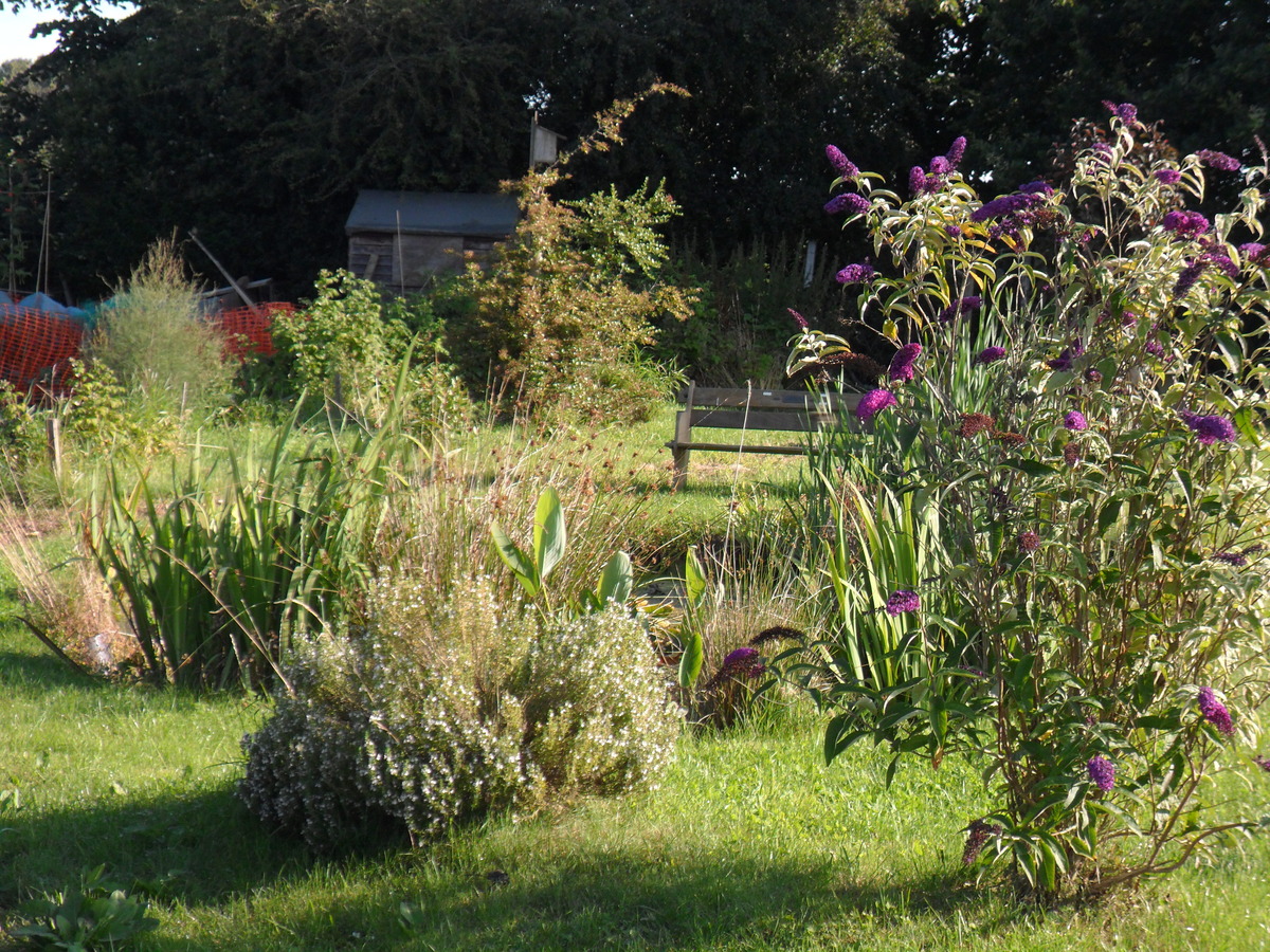 Environmental Garden 